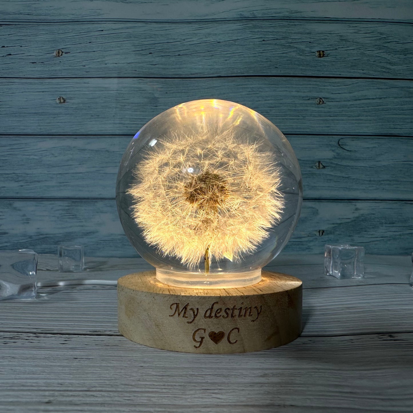 Real Dandelion Night Light